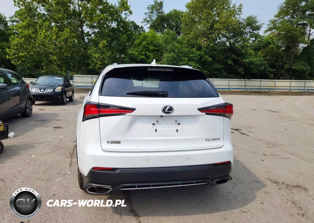 2021 Lexus Nx 300 F Sport VIN:JTJSARDZ6M2236842 - 6