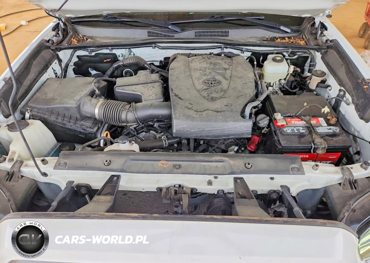 2020 Toyota Tacoma Trd Off-Road VIN:5TFCZ5AN2LX224411 - 11