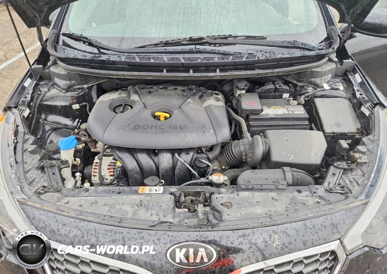 2016 Kia Forte Lx VIN:KNAFK4A66G5576779 - 11