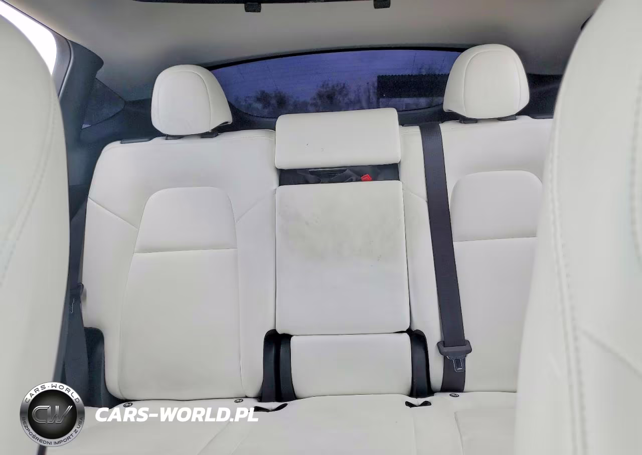 2024 Tesla Model Y VIN:7SAYGDEE1RA270752 - 10