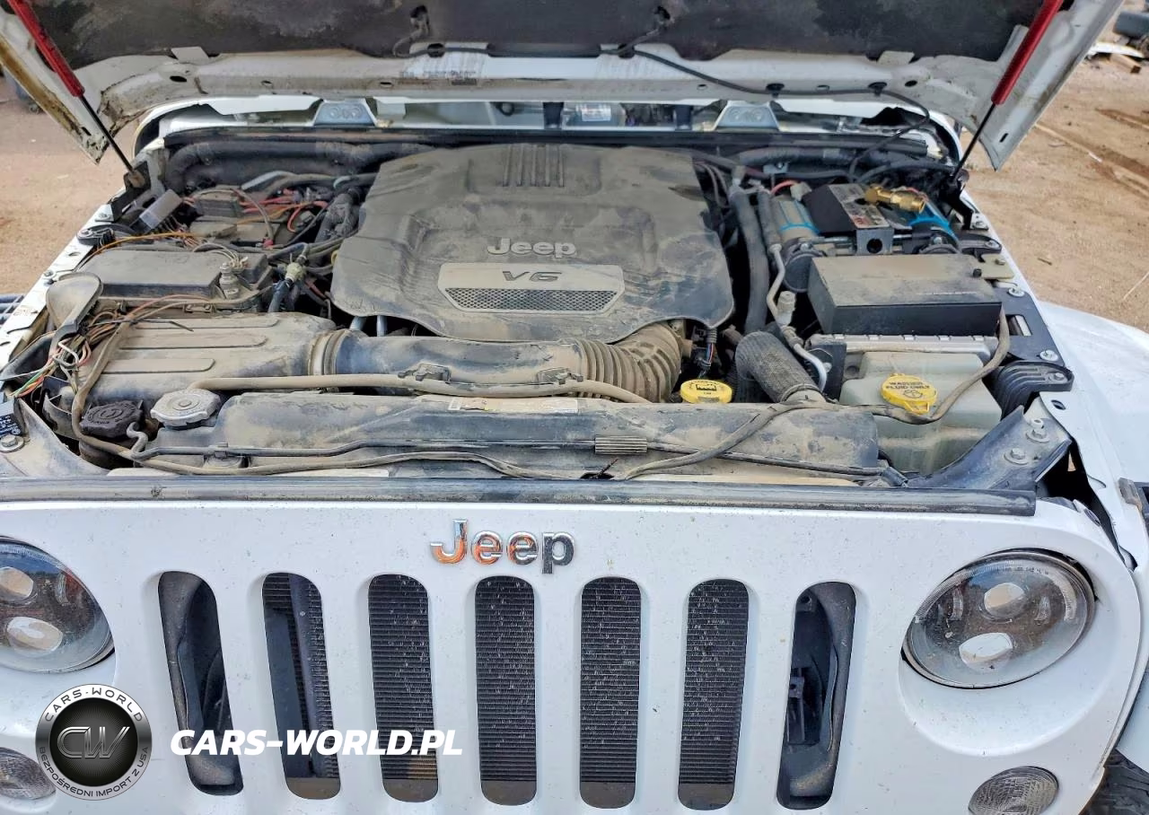 2016 Jeep Wrangler Unlimited Rubicon VIN:1C4BJWFG8GL163940 - 12