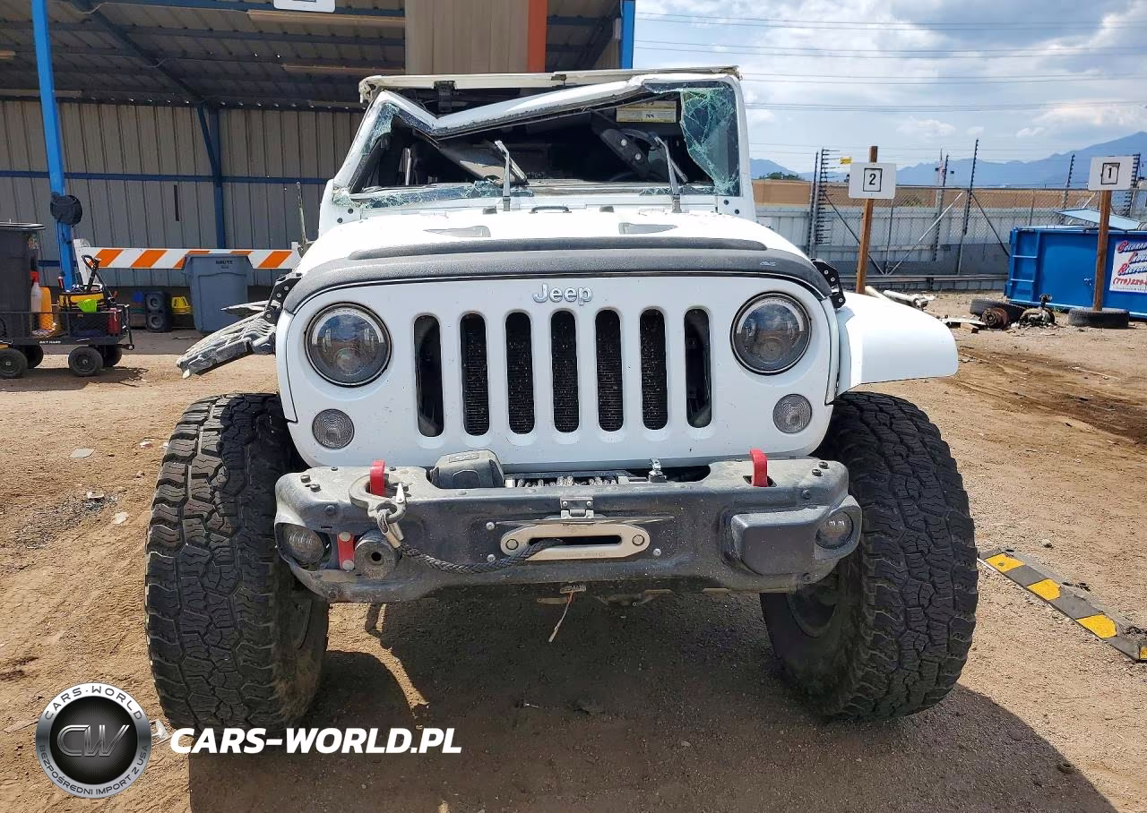 2016 Jeep Wrangler Unlimited Rubicon VIN:1C4BJWFG8GL163940 - 5