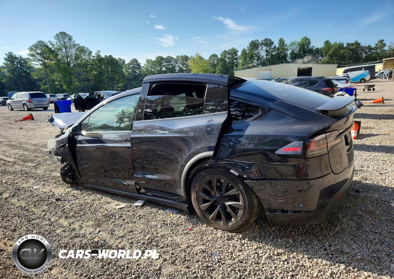 2024 Tesla Model X VIN:7SAXCDE58RF435271 - 2