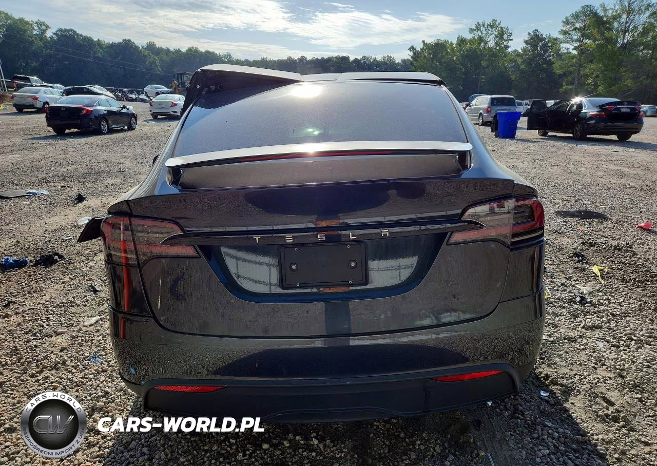 2024 Tesla Model X VIN:7SAXCDE58RF435271 - 6
