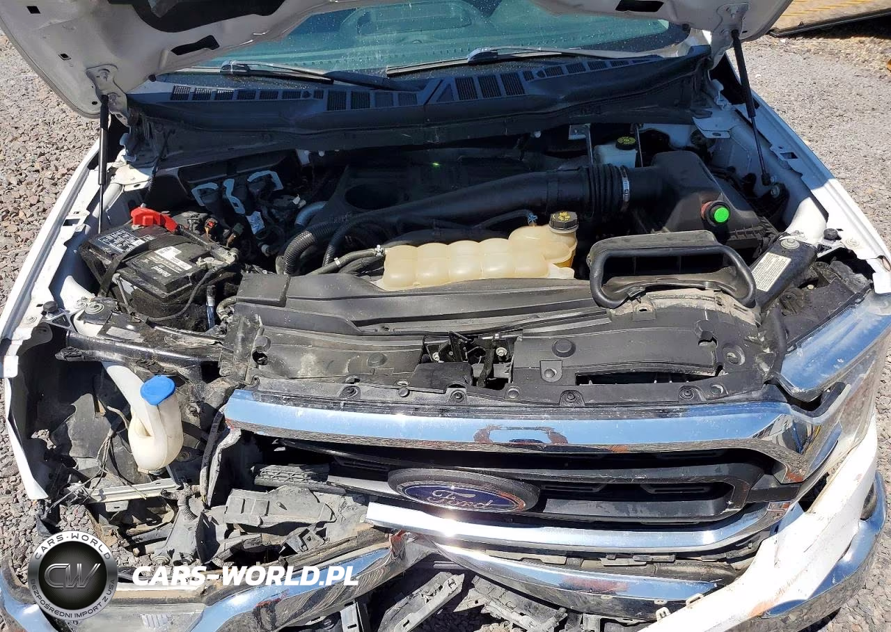 2021 Ford F150 Supercrew VIN:1FTFW1E12MFC73685 - 11