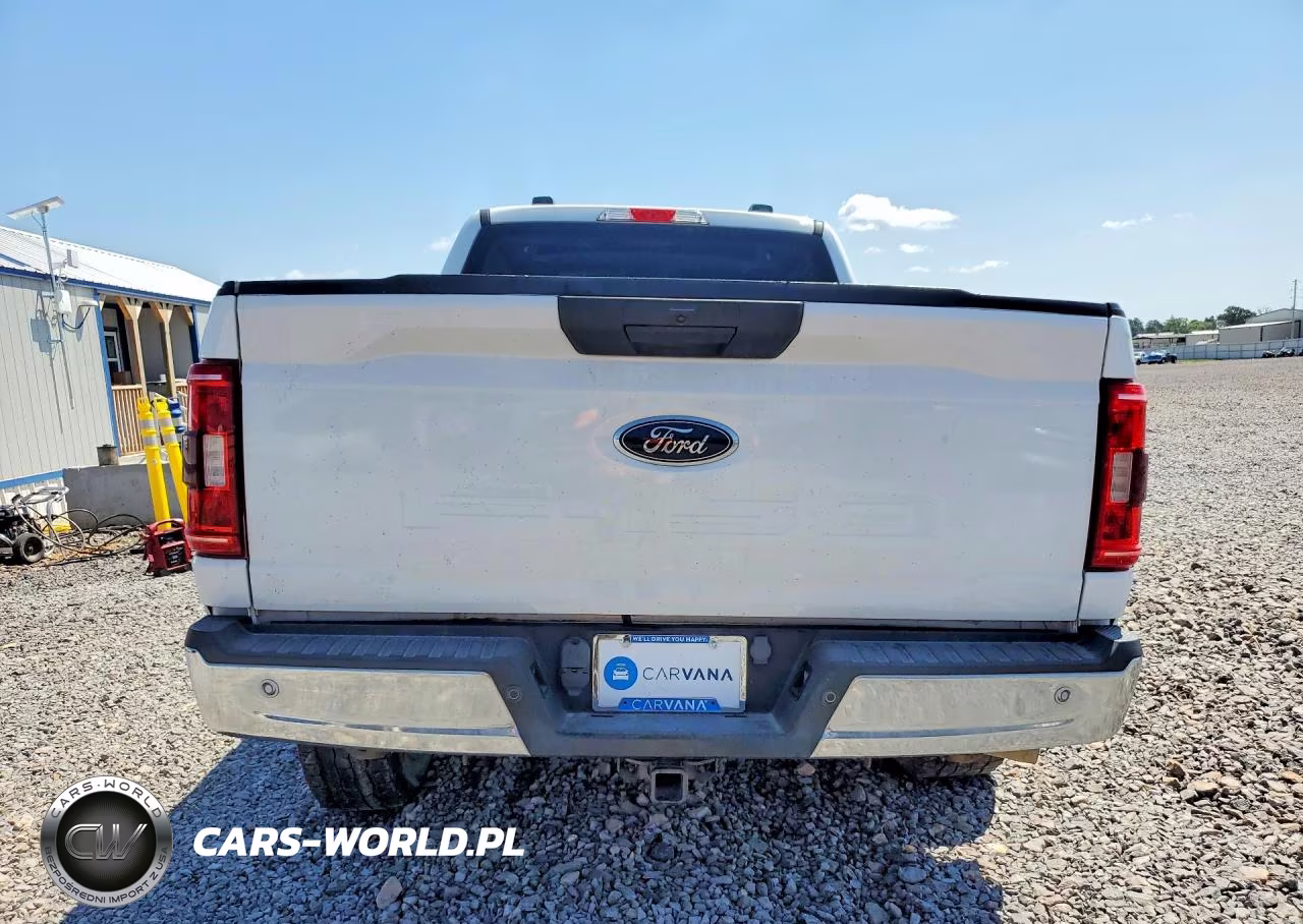 2021 Ford F150 Supercrew VIN:1FTFW1E12MFC73685 - 6