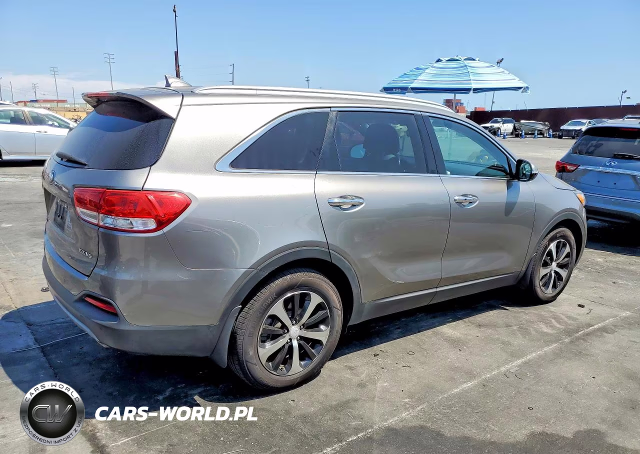2017 Kia Sorento Ex VIN:5XYPH4A51HG224232 - 3