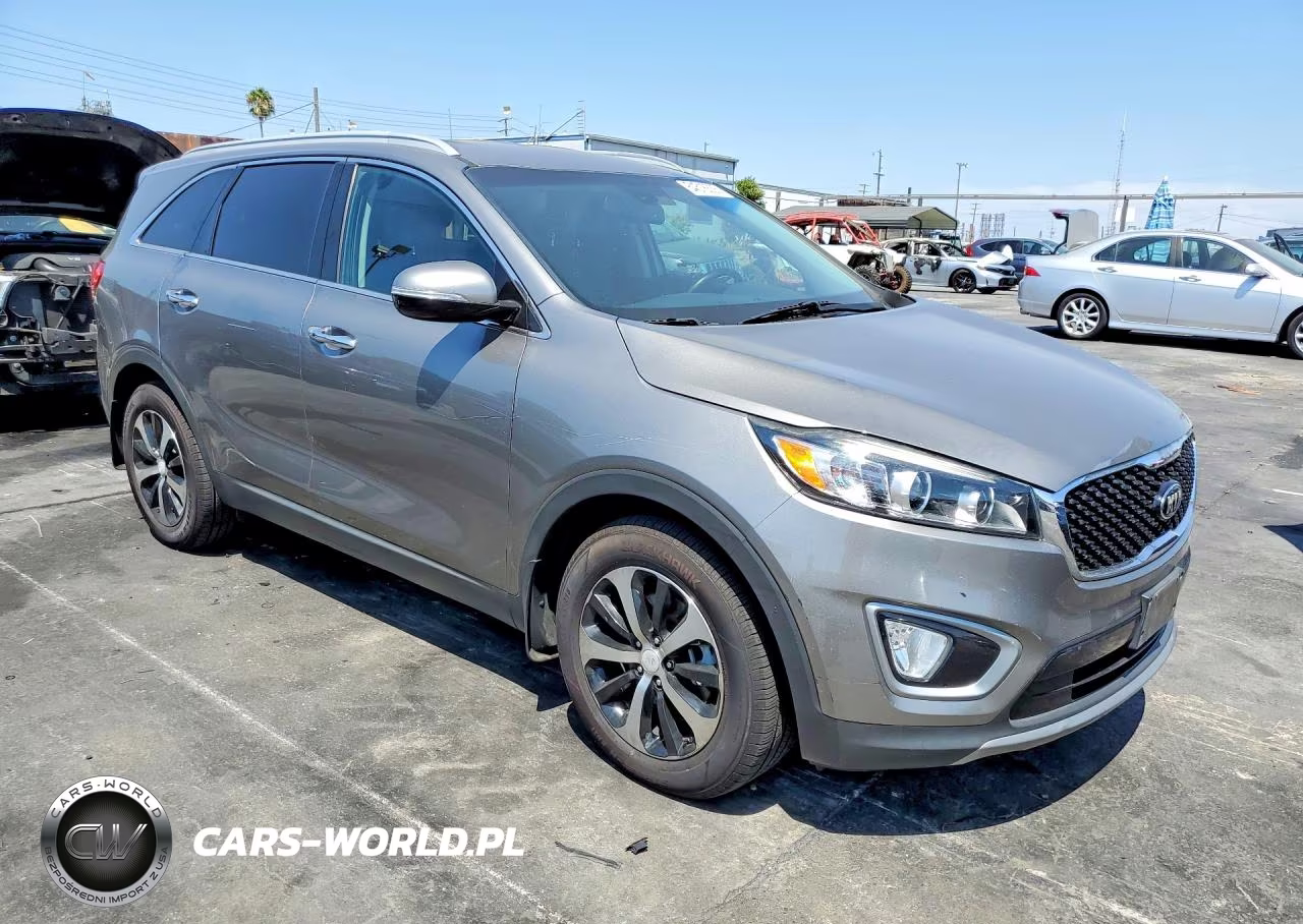 2017 Kia Sorento Ex VIN:5XYPH4A51HG224232 - 4