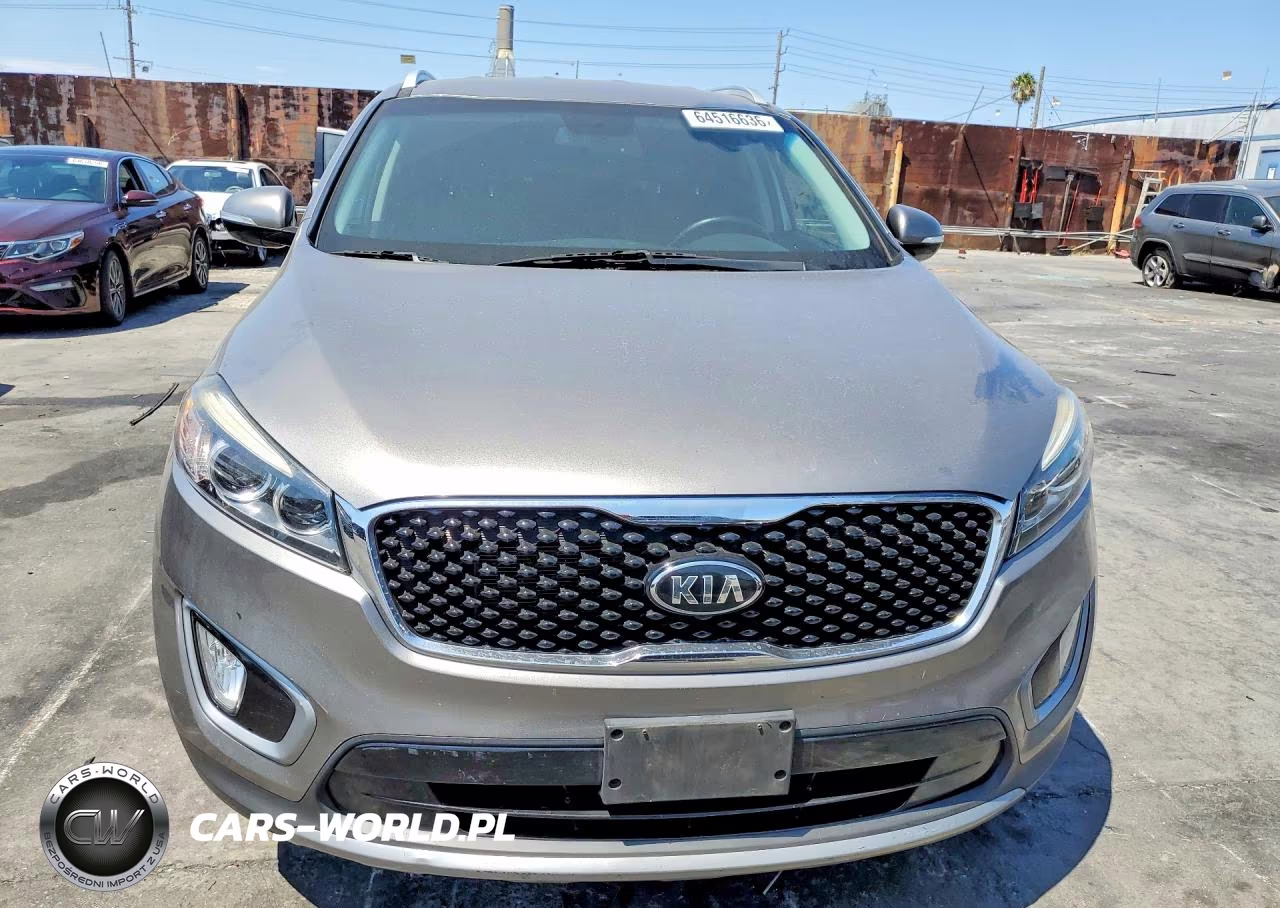 2017 Kia Sorento Ex VIN:5XYPH4A51HG224232 - 5