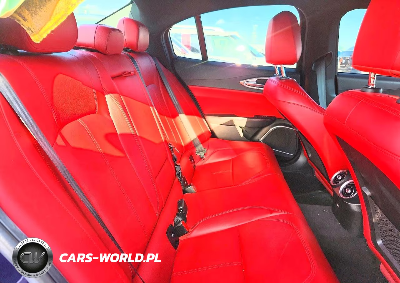 2019 Alfa Romeo Giulia VIN:ZARFAMANXK7622632 - 10