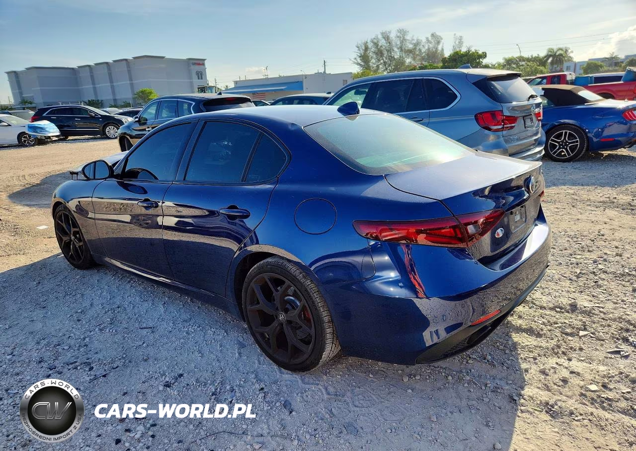 2019 Alfa Romeo Giulia VIN:ZARFAMANXK7622632 - 2