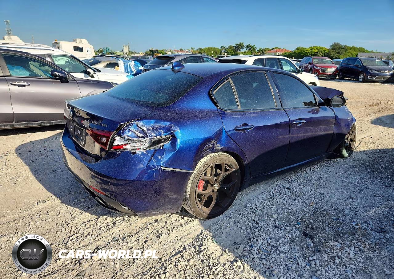 2019 Alfa Romeo Giulia VIN:ZARFAMANXK7622632 - 3