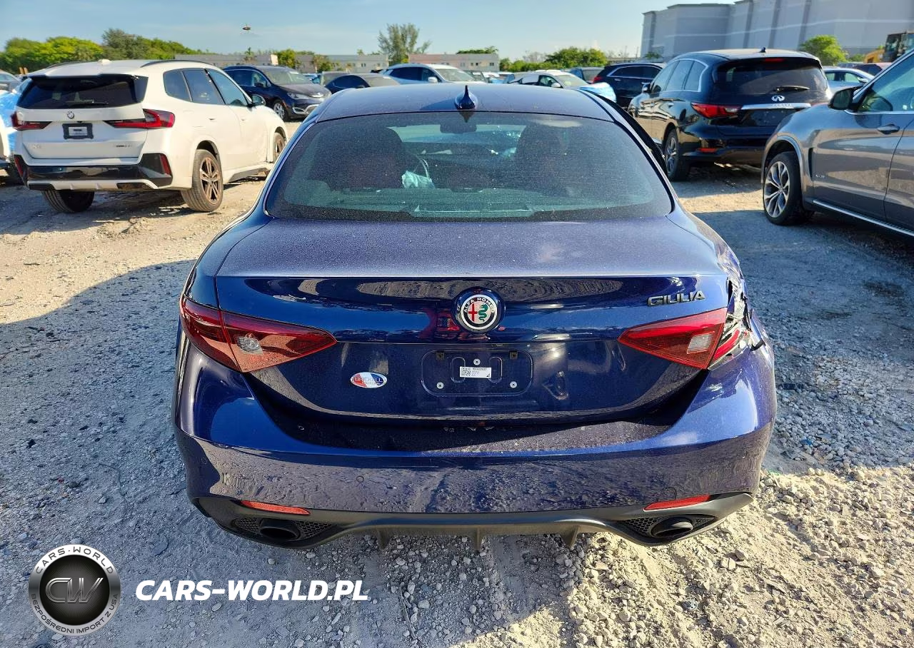 2019 Alfa Romeo Giulia VIN:ZARFAMANXK7622632 - 6