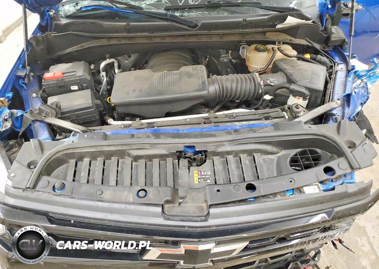 2023 Chevrolet Silverado K1500 Lt Trail Boss VIN:3GCUDFED2PG258739 - 11
