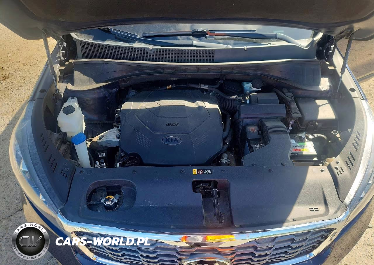 2019 Kia Sorento Ex Sport VIN:5XYPH4A56KG603041 - 12