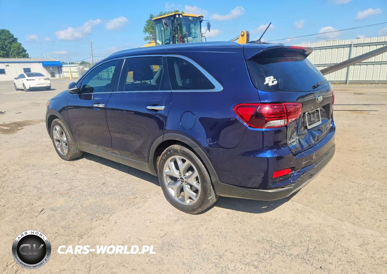 2019 Kia Sorento Ex Sport VIN:5XYPH4A56KG603041 - 2