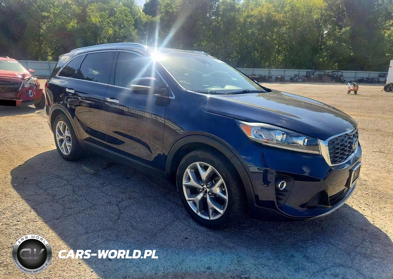 2019 Kia Sorento Ex Sport VIN:5XYPH4A56KG603041 - 4