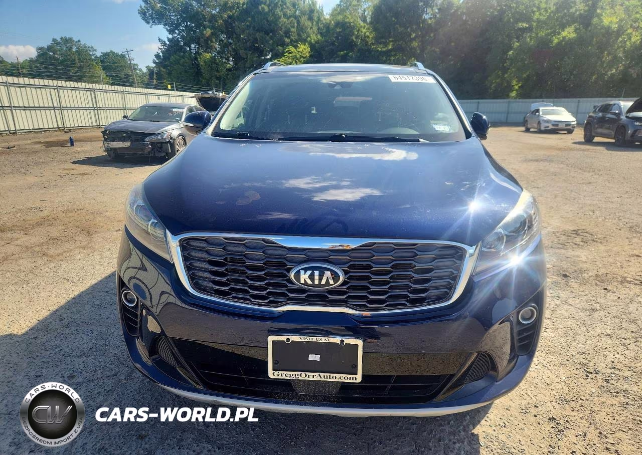 2019 Kia Sorento Ex Sport VIN:5XYPH4A56KG603041 - 5