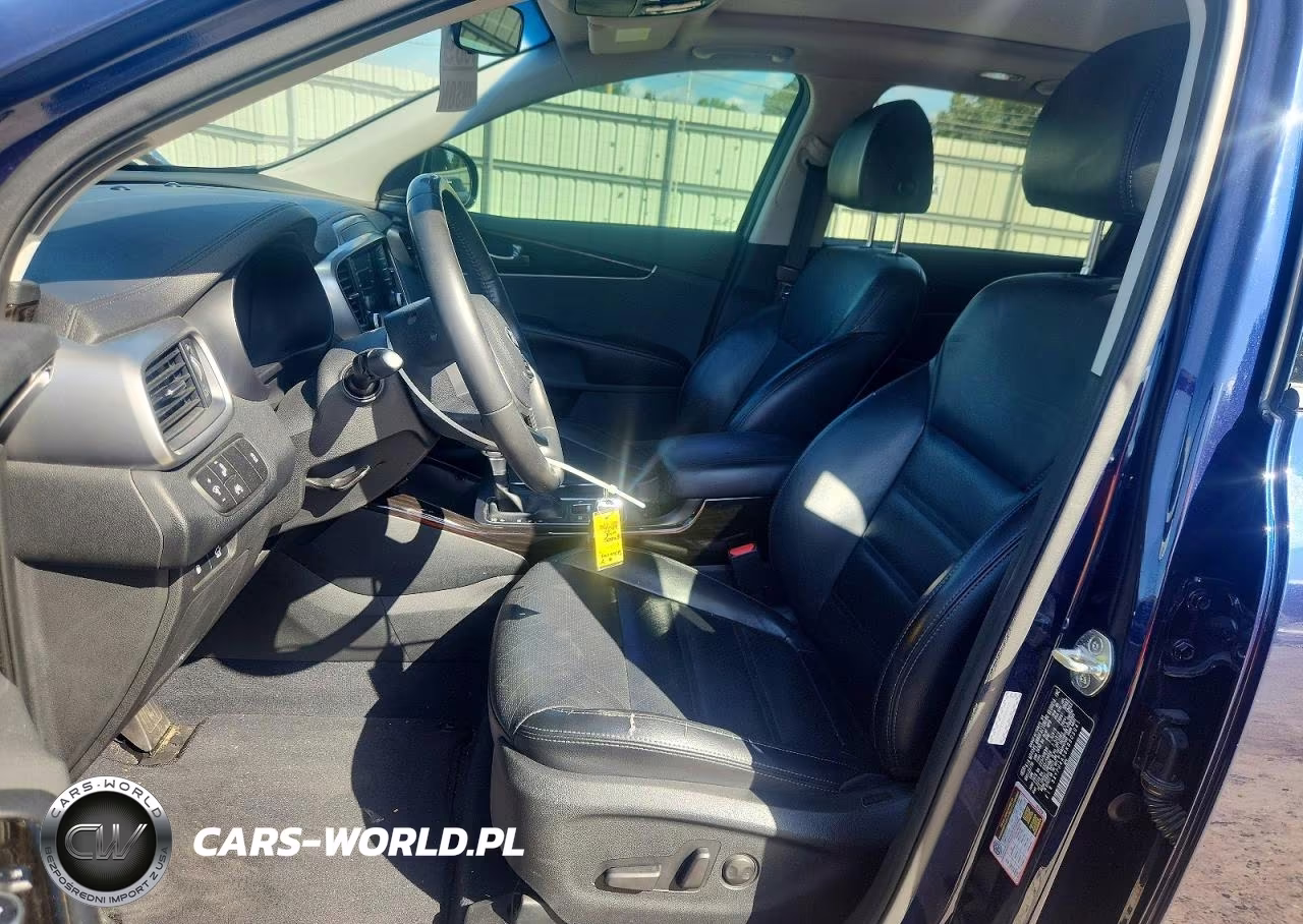 2019 Kia Sorento Ex Sport VIN:5XYPH4A56KG603041 - 7