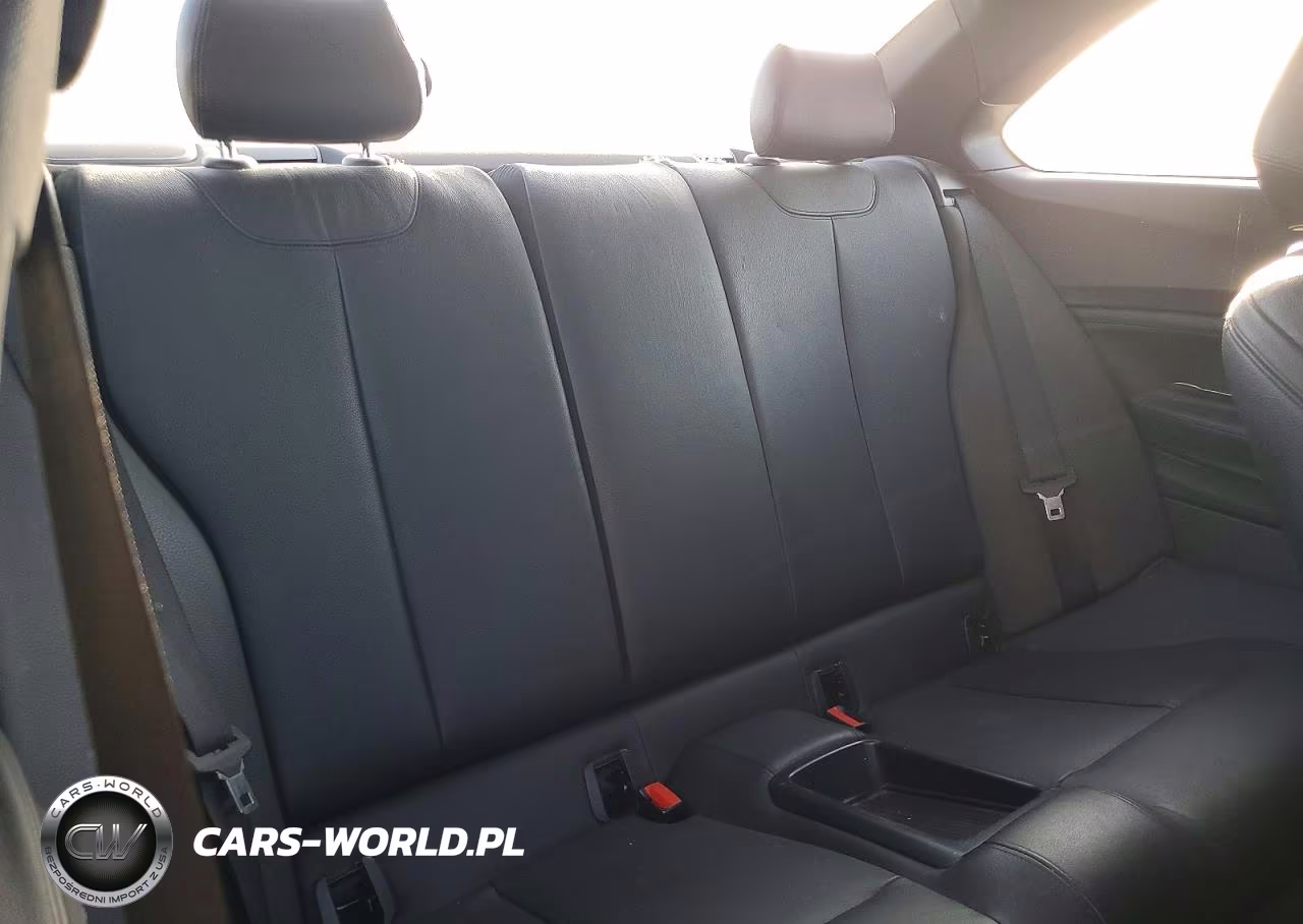 2016 BMW 228 I Sulev VIN:WBA1F9C57GV742548 - 10