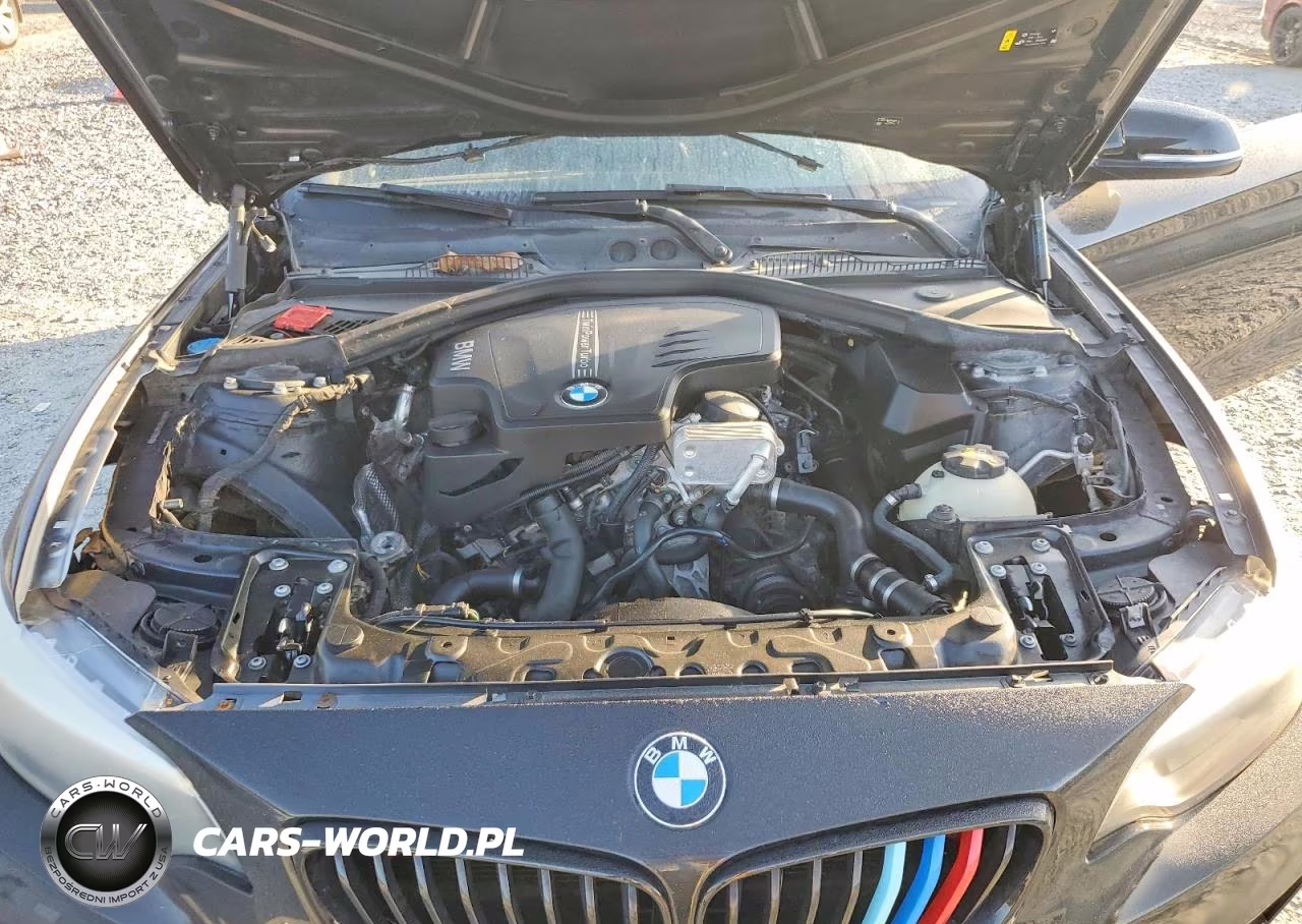2016 BMW 228 I Sulev VIN:WBA1F9C57GV742548 - 11