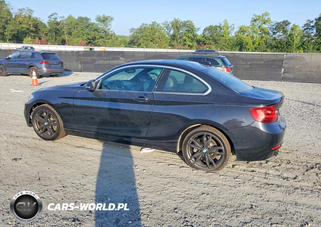 2016 BMW 228 I Sulev VIN:WBA1F9C57GV742548 - 2