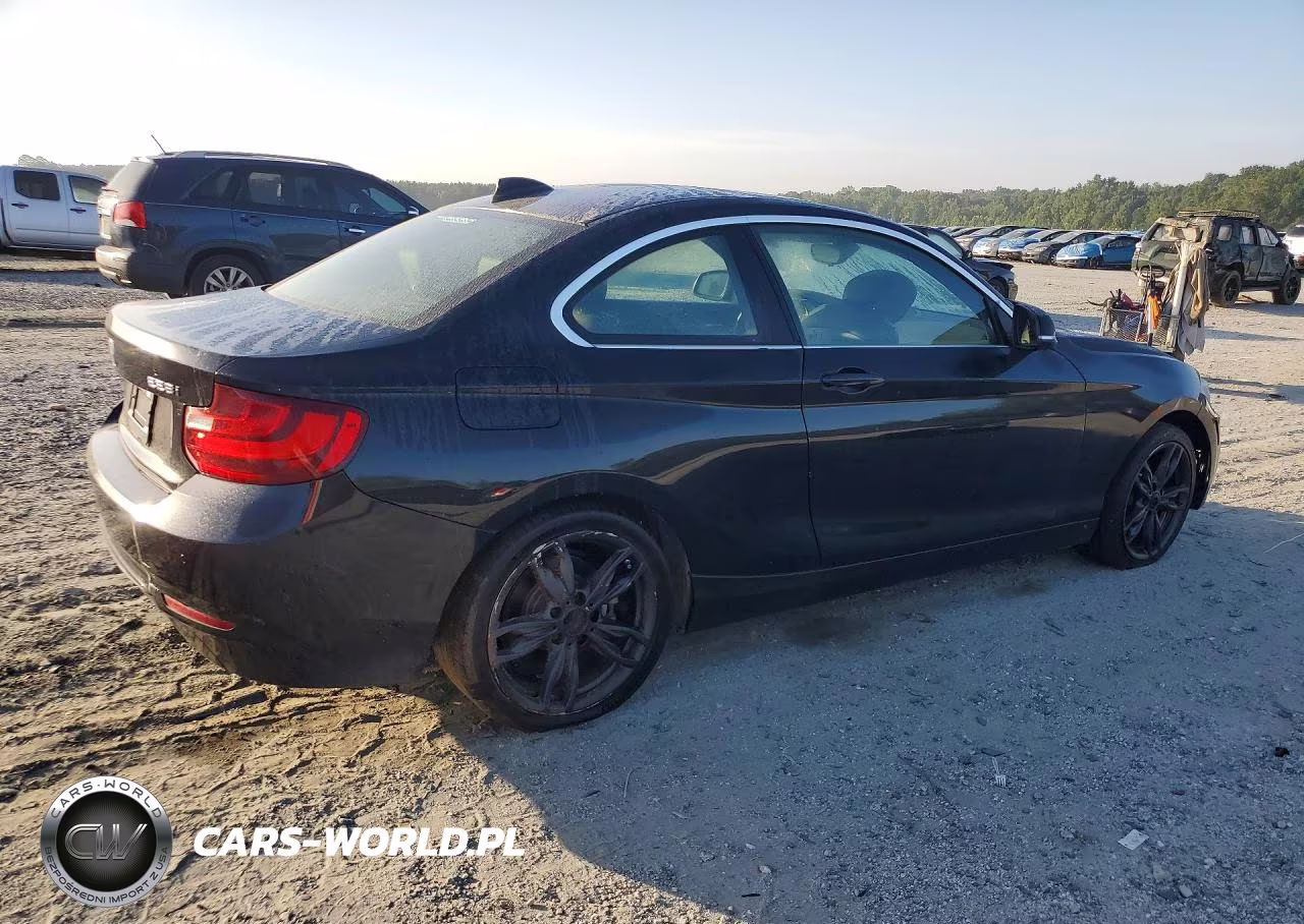 2016 BMW 228 I Sulev VIN:WBA1F9C57GV742548 - 3