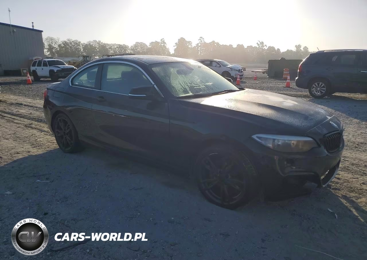 2016 BMW 228 I Sulev VIN:WBA1F9C57GV742548 - 4
