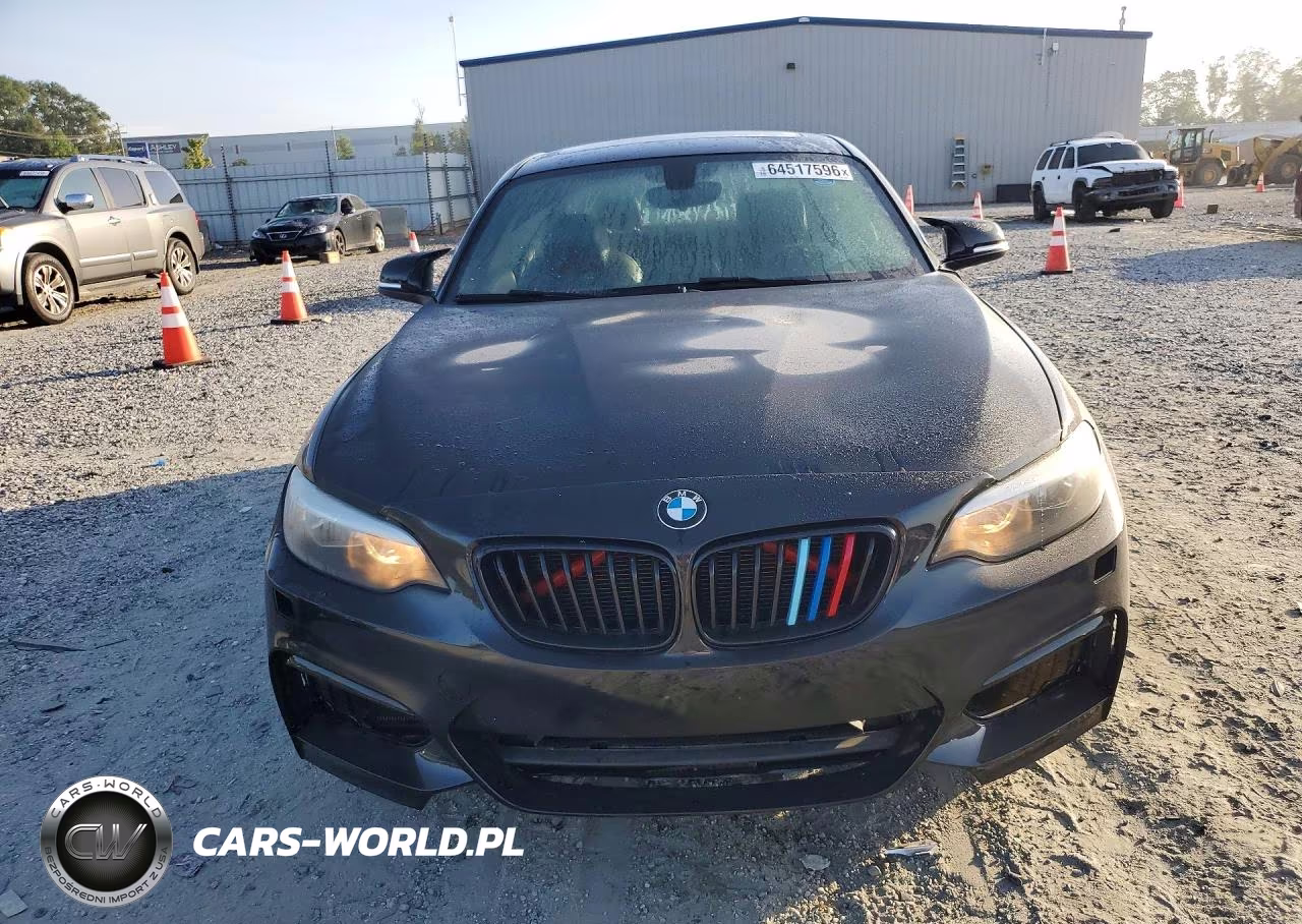 2016 BMW 228 I Sulev VIN:WBA1F9C57GV742548 - 5