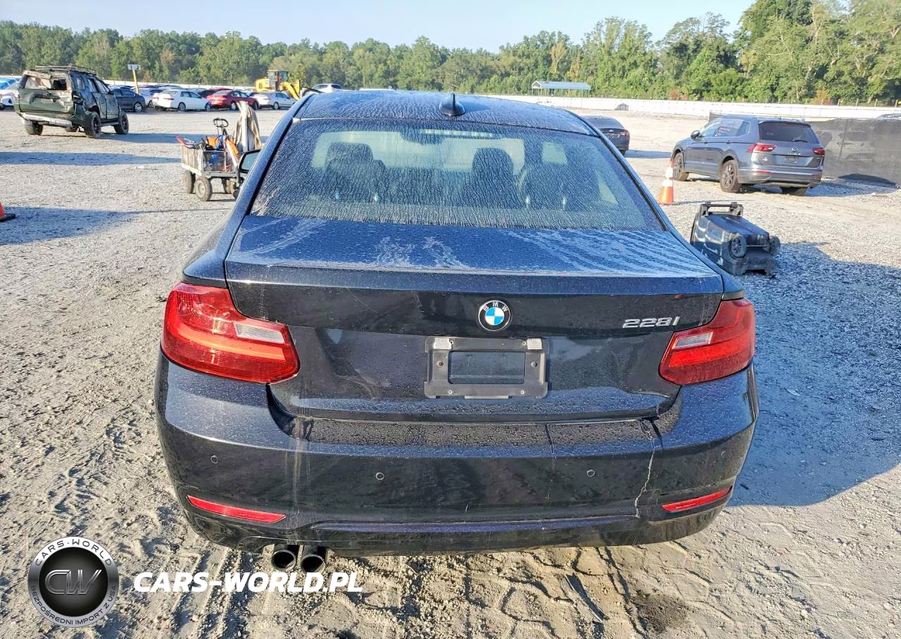 2016 BMW 228 I Sulev VIN:WBA1F9C57GV742548 - 6