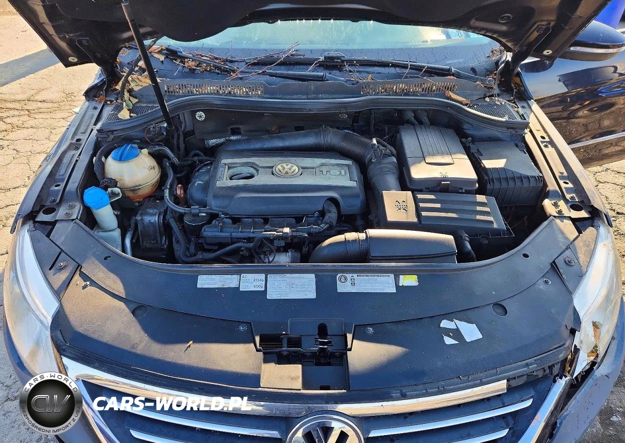 2012 Volkswagen Cc Luxury VIN:WVWHP7AN1CE531099 - 11