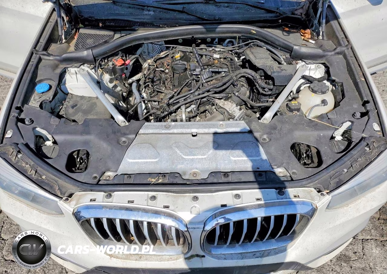 2019 BMW X3 Sdrive30I VIN:5UXTR7C50KLF23850 - 12