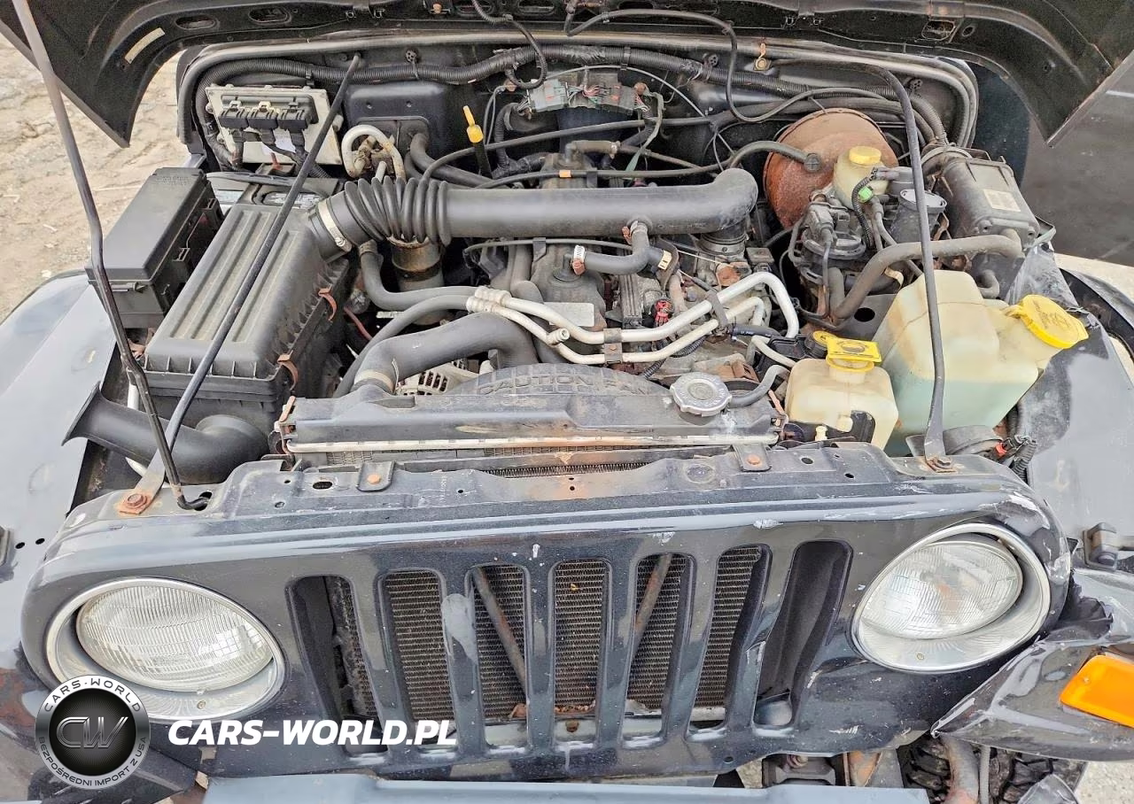 2002 Jeep Wrangler - Tj Sahara VIN:1J4FA59S32P771954 - 12