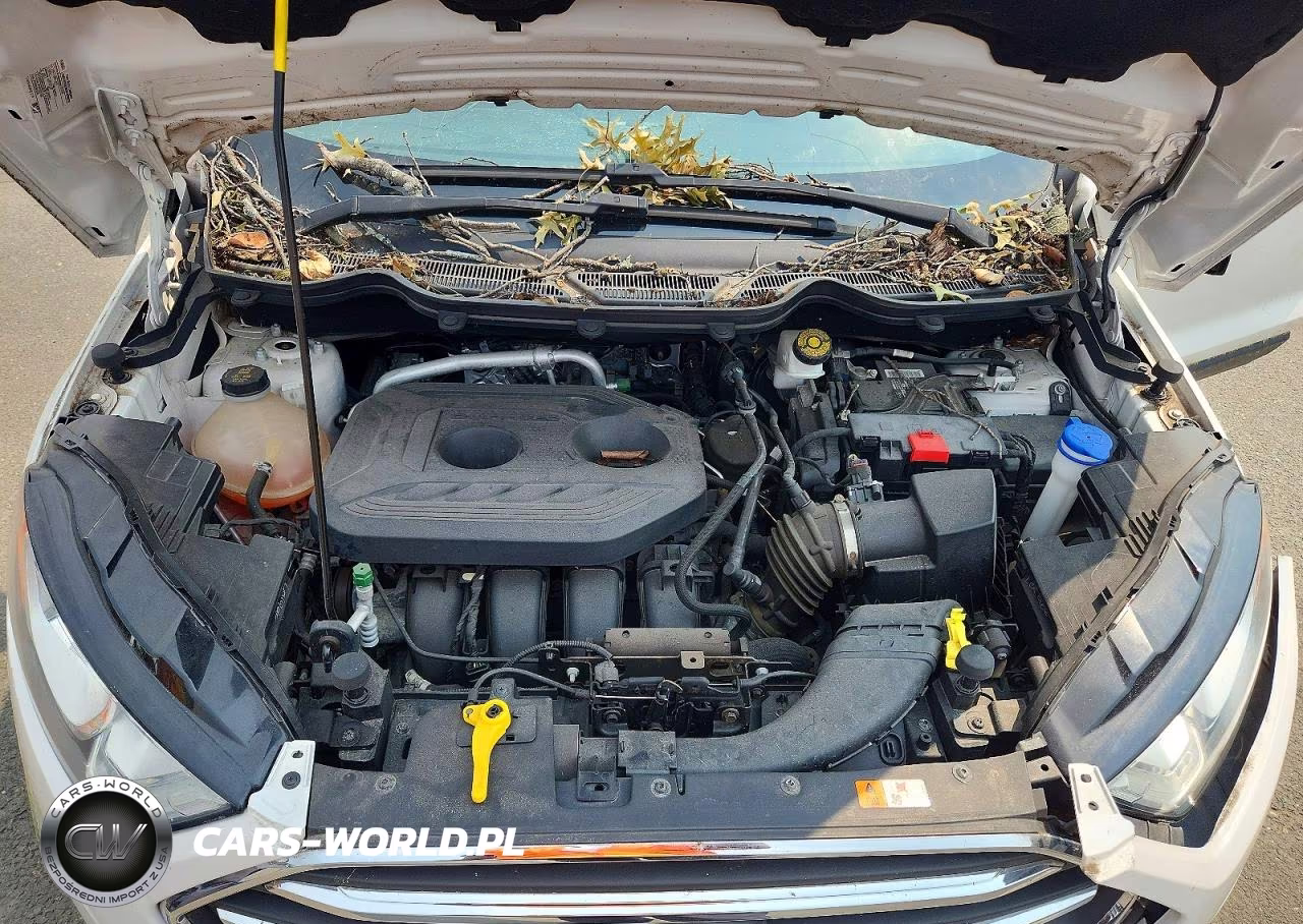 2021 Ford Ecosport Titanium VIN:MAJ6P1WLXJC205716 - 12