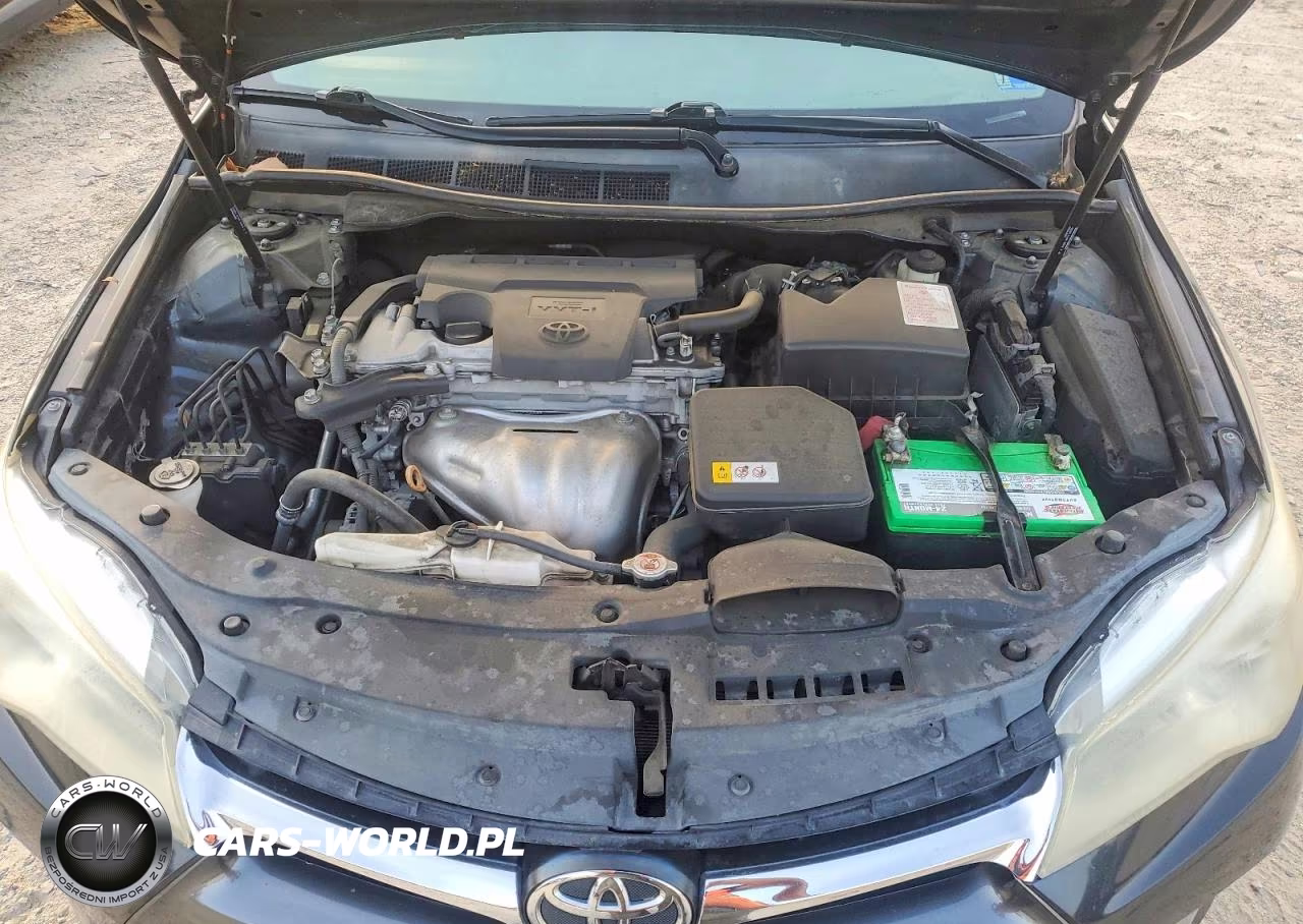 2017 Toyota Camry Xle VIN:4T1BF1FK6HU315942 - 11