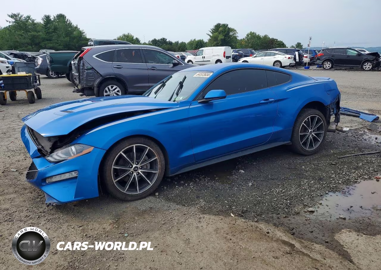 2019 Ford Mustang