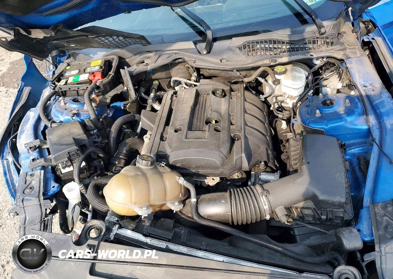 2019 Ford Mustang VIN:1FA6P8THXK5117828 - 11