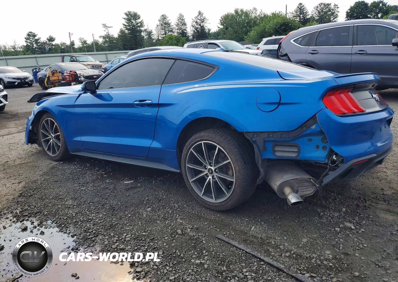 2019 Ford Mustang VIN:1FA6P8THXK5117828 - 2