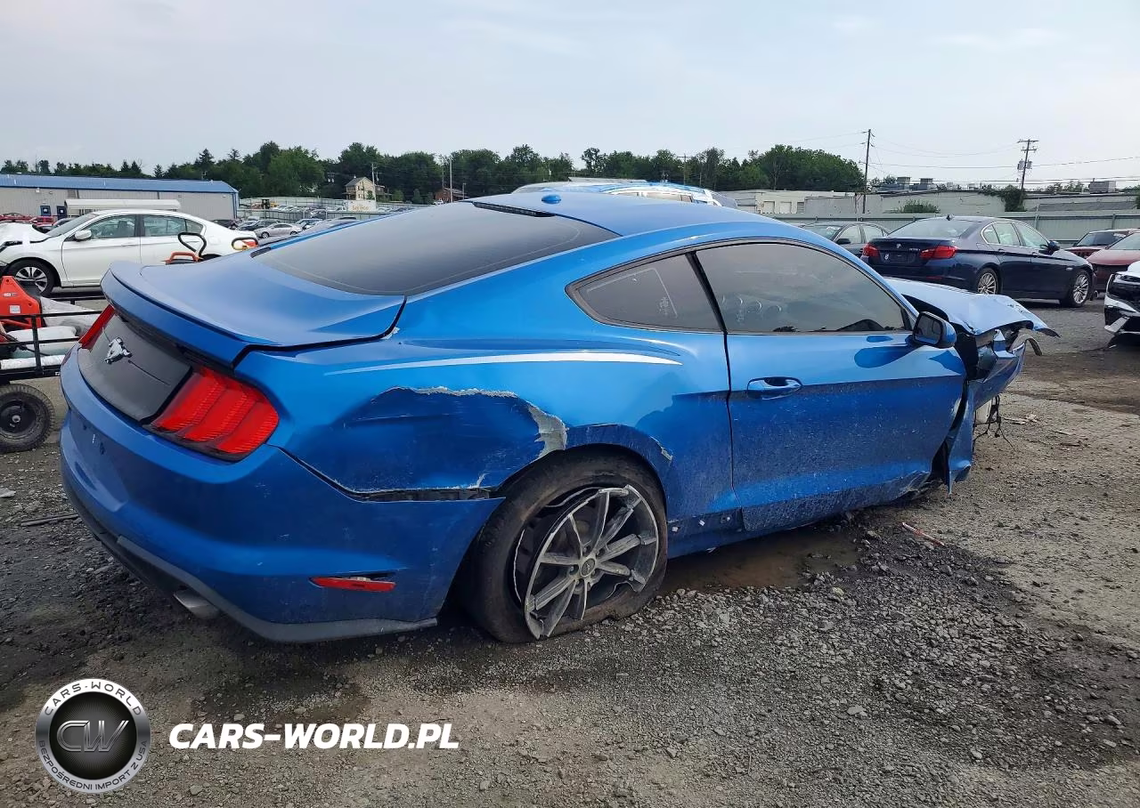 2019 Ford Mustang VIN:1FA6P8THXK5117828 - 3