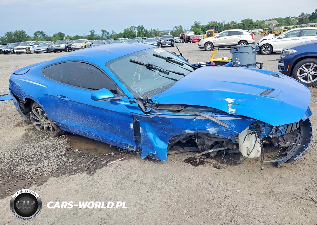 2019 Ford Mustang VIN:1FA6P8THXK5117828 - 4