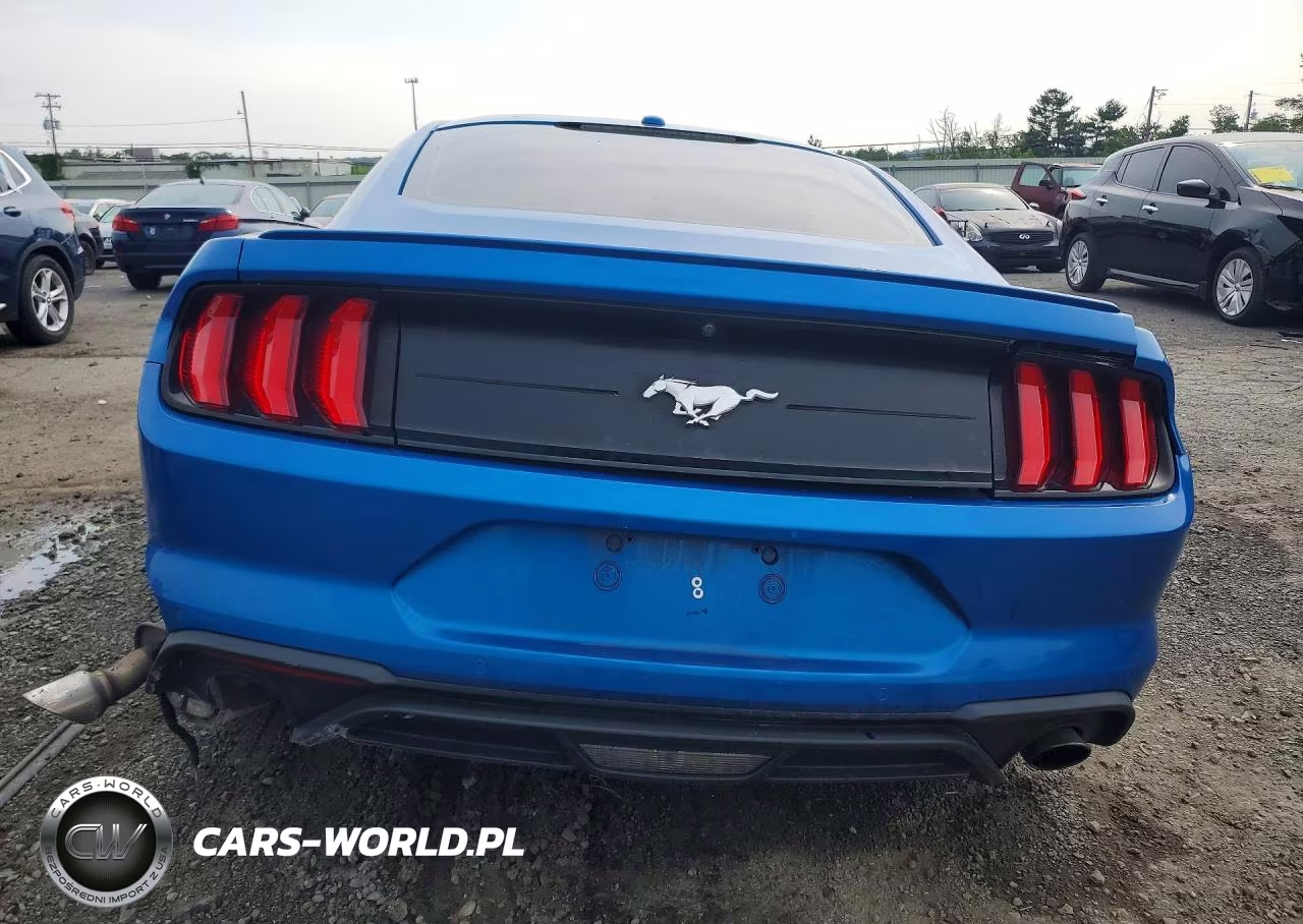 2019 Ford Mustang VIN:1FA6P8THXK5117828 - 6