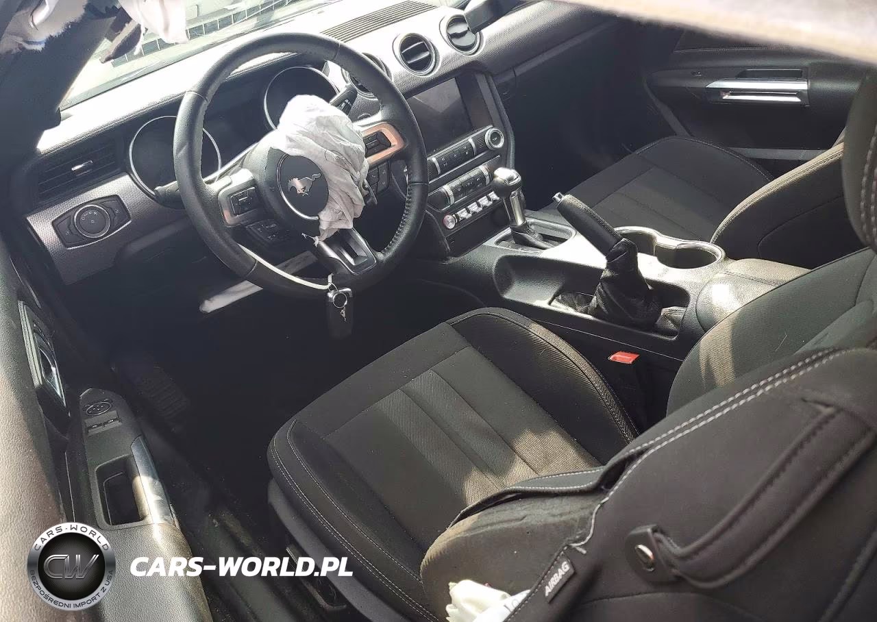 2019 Ford Mustang VIN:1FA6P8THXK5117828 - 8