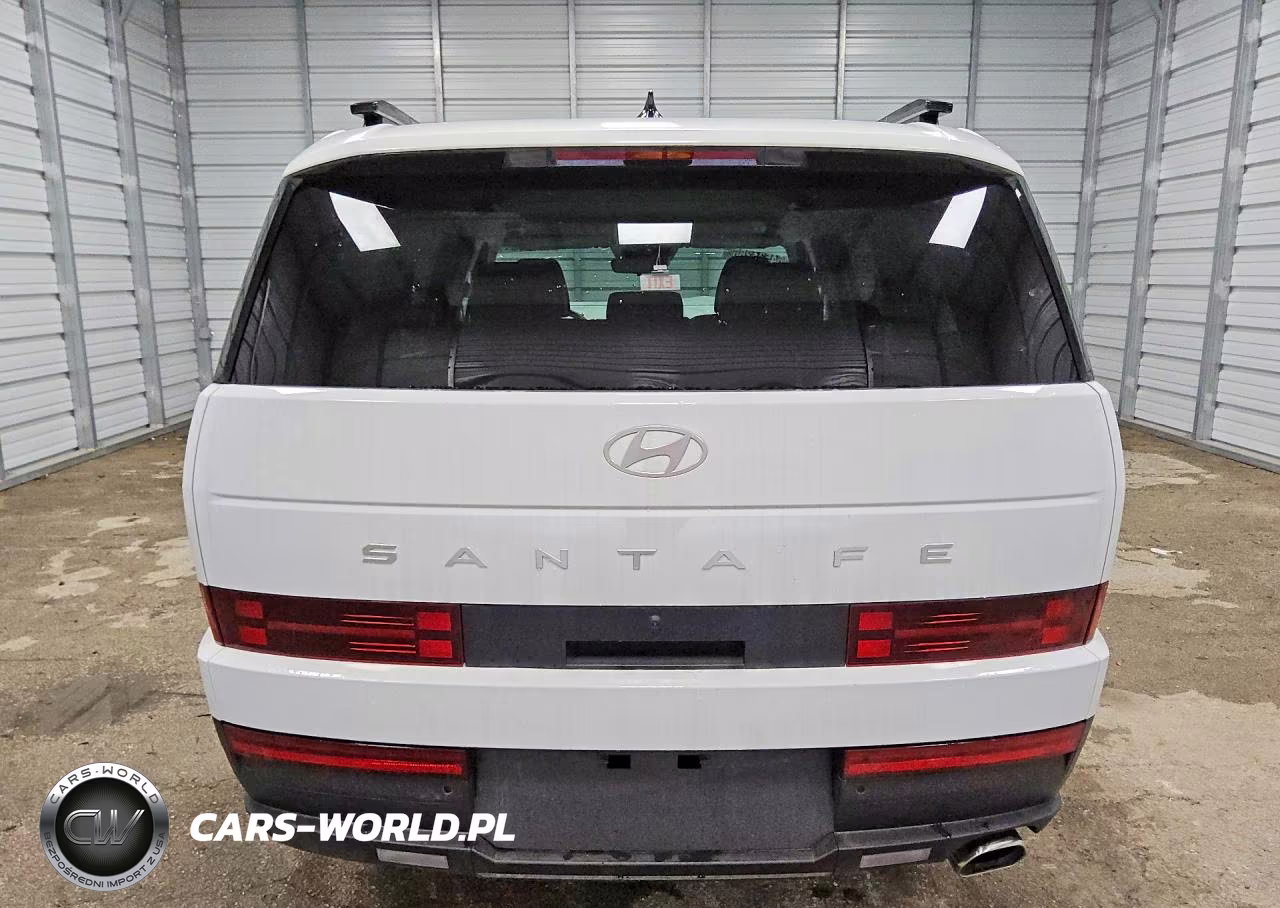 2025 Hyundai Santa Fe Sel VIN:5NMP24GL2SH115864 - 6