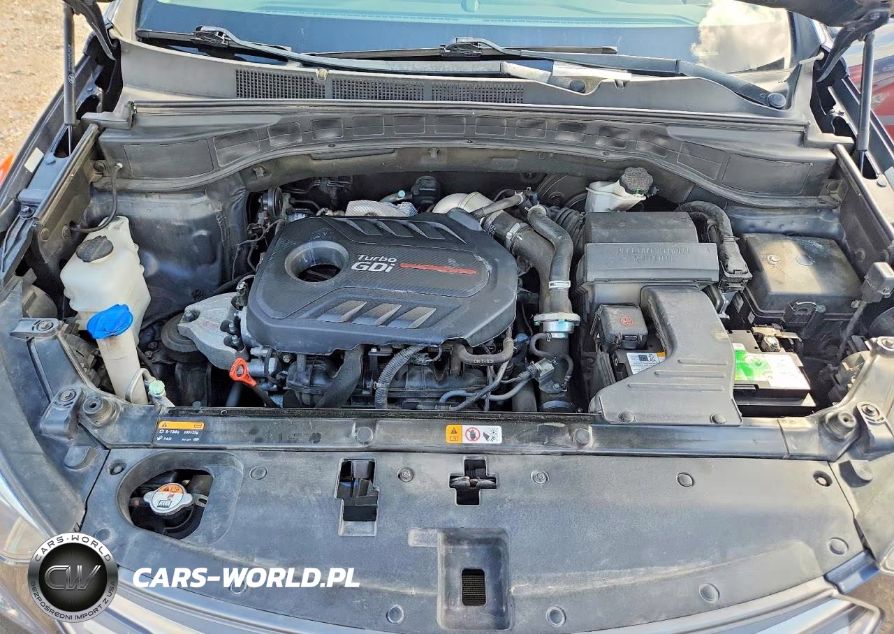 2017 Hyundai Santa Fe Sport 2.0T Ultimate VIN:5XYZW4LA3HG492952 - 12