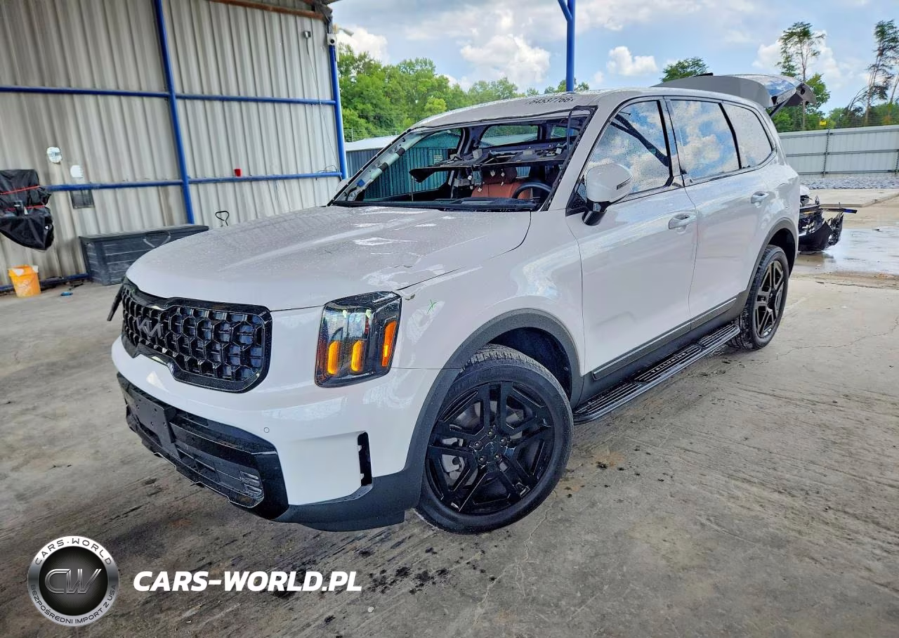 2025 Kia Telluride Sx-Prestige X-Line VIN:5XYP5DGC3SG647268 - 1