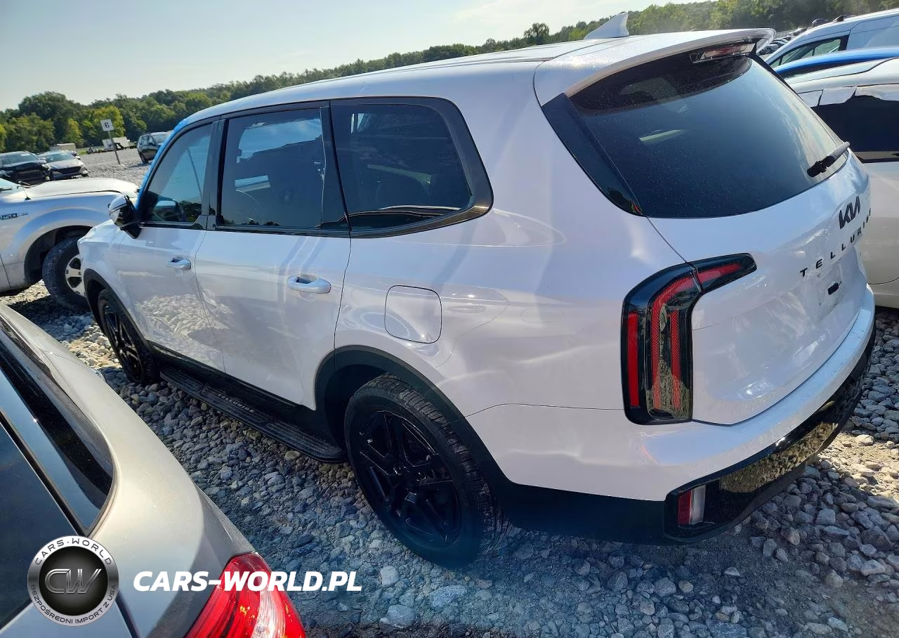2025 Kia Telluride Sx-Prestige X-Line VIN:5XYP5DGC3SG647268 - 2