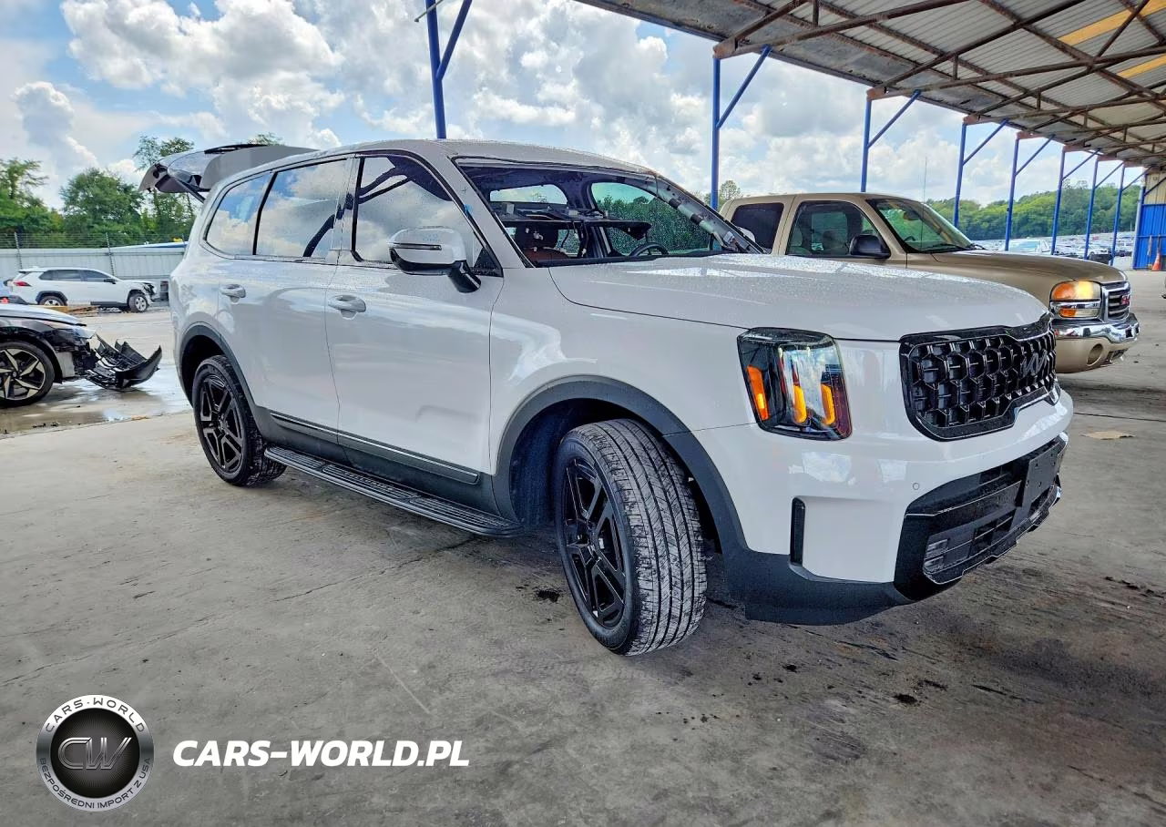 2025 Kia Telluride Sx-Prestige X-Line VIN:5XYP5DGC3SG647268 - 4