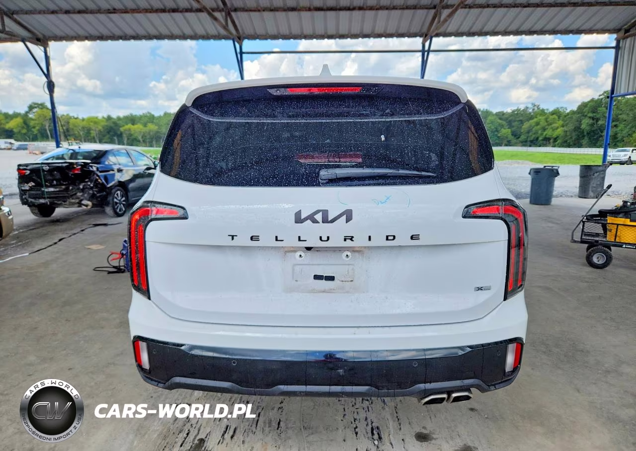 2025 Kia Telluride Sx-Prestige X-Line VIN:5XYP5DGC3SG647268 - 6