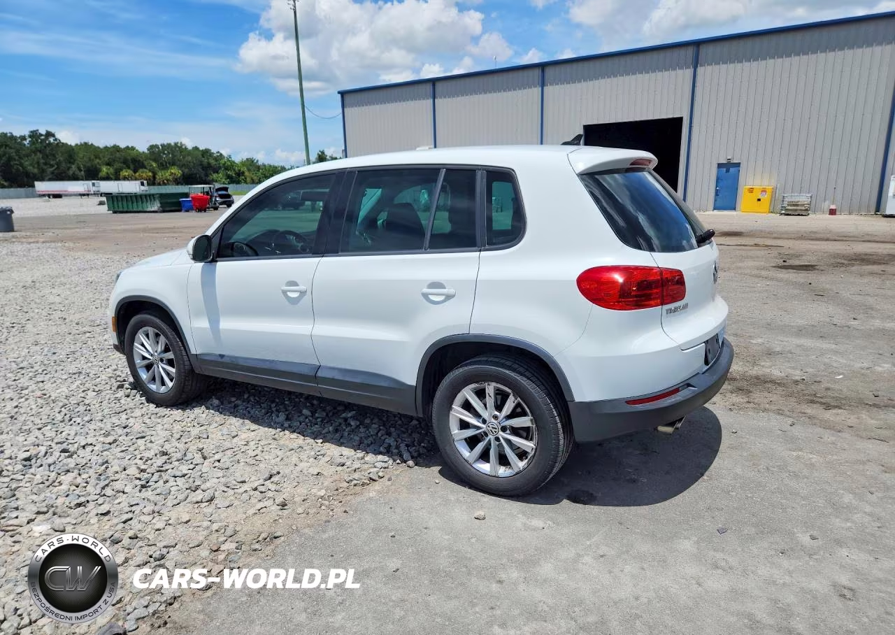 2014 Volkswagen Tiguan S VIN:WVGA3AX2EW554840 - 2