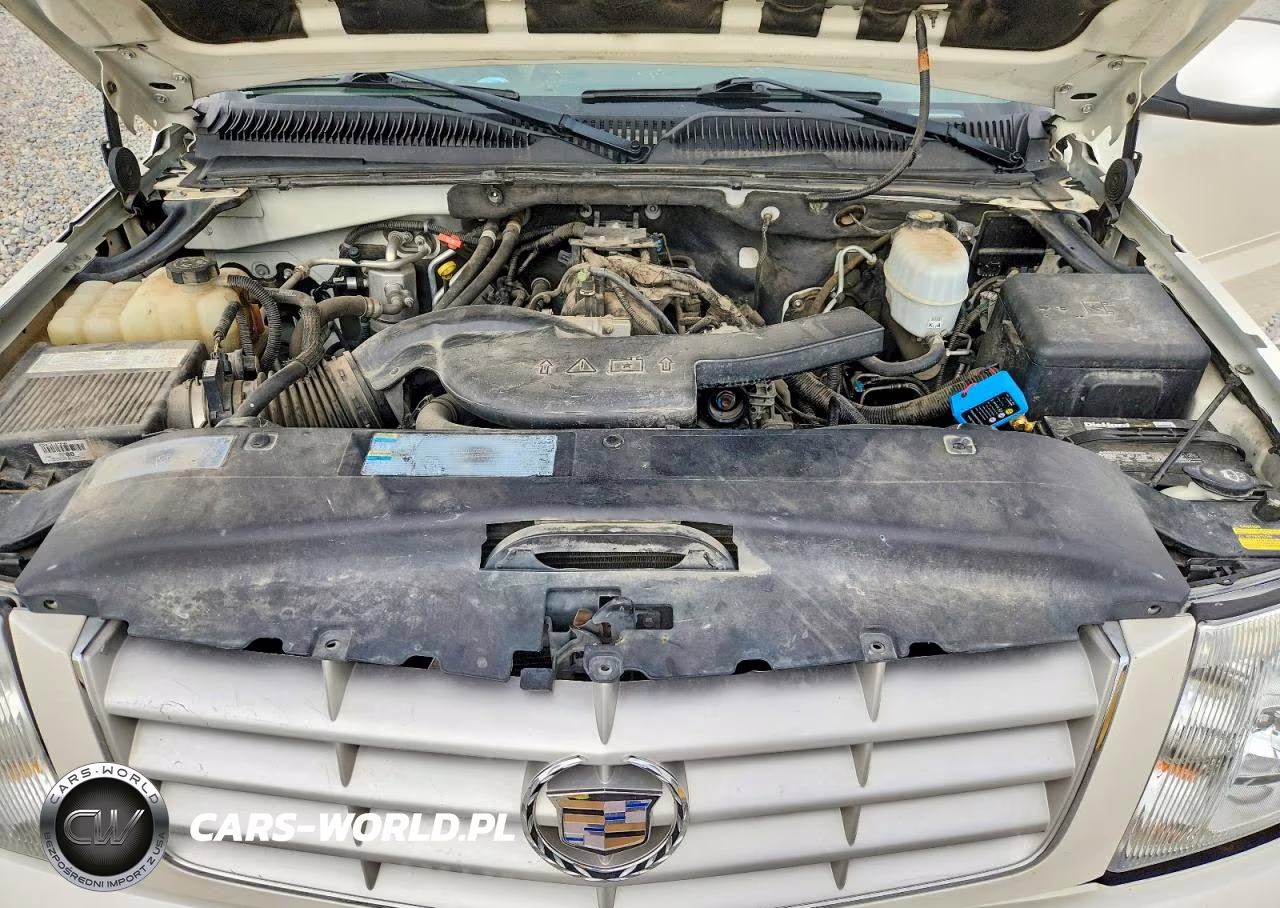 2005 Cadillac Escalade Luxury VIN:1GYEK63N85R257642 - 12
